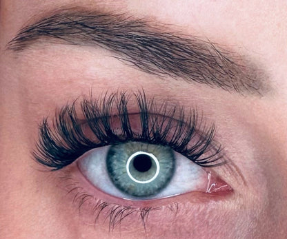 Starter Kit - DOLL EYE EDITION